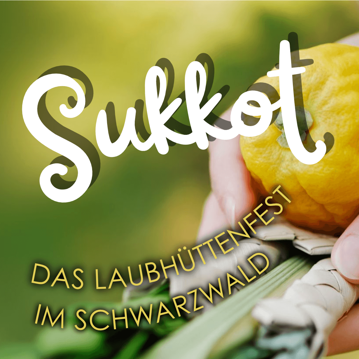 Sukkot-Tage vom 10.-12. Oktober 2025